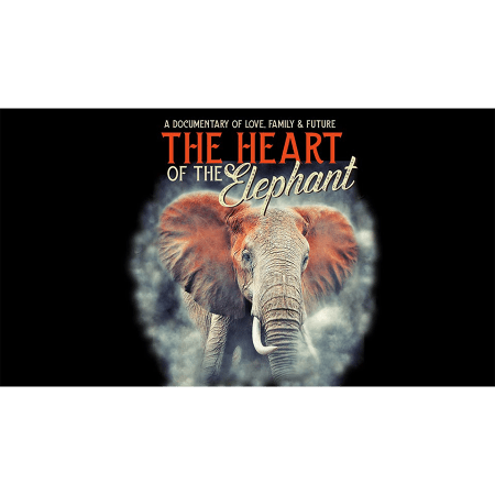 The Heart of the Elephant - VOD