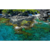 Photography Book by Steve Quayle - Favorite Places