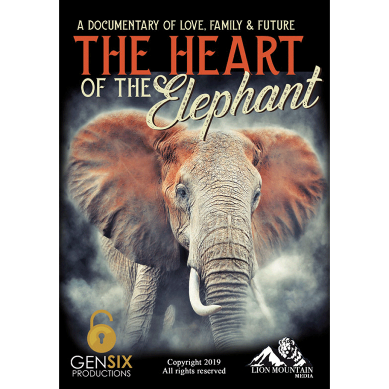 The Heart of the Elephant - DVD