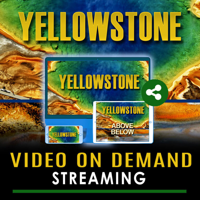 Yellowstone: Above & Below - VOD